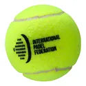 BALLES DE PADEL BULLPADEL NEXT PR 5