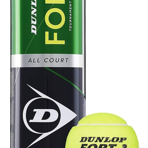 Dunlop TUBE DE BALLES DUNLOP FORT ALL COURT X3